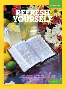 mormonad-refresh-yourself-1118306-gallery