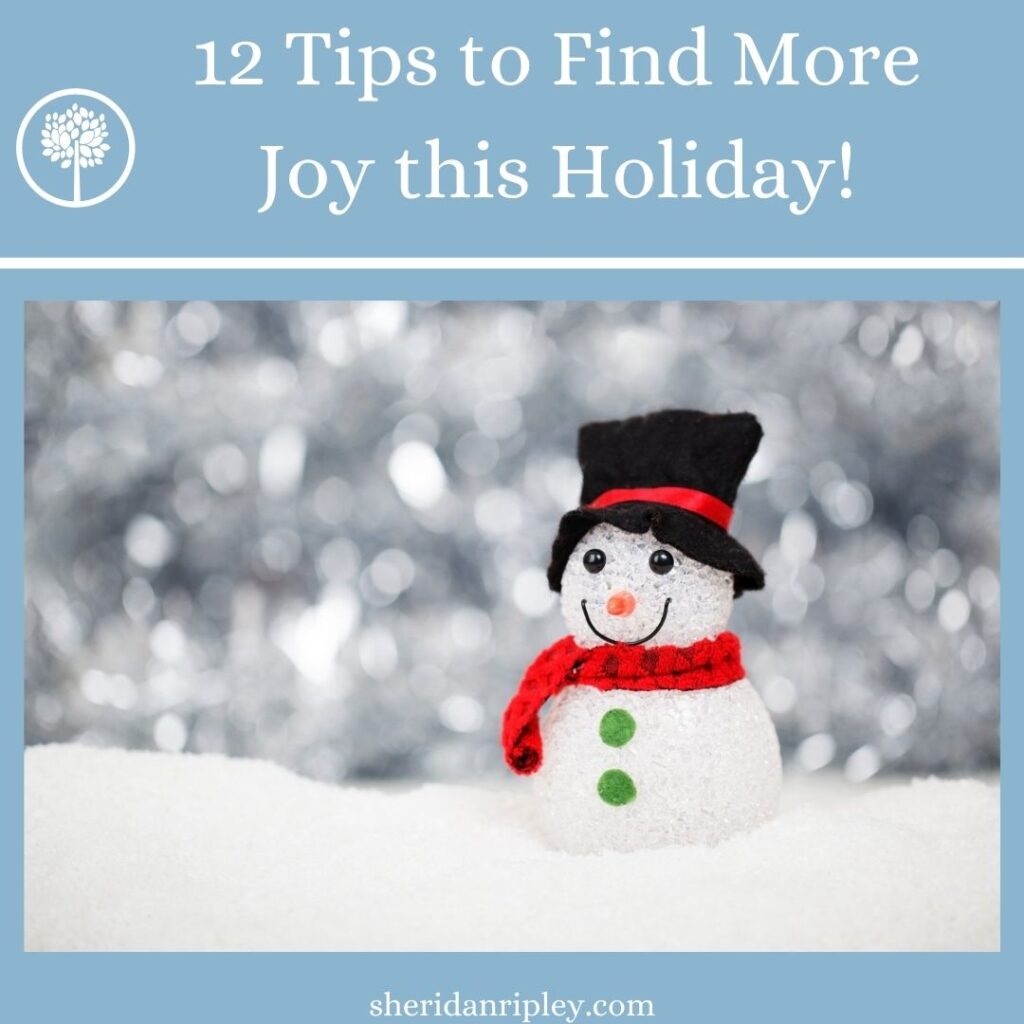 12 Tips to Find More Joy This Holiday Season – Episode 3:3