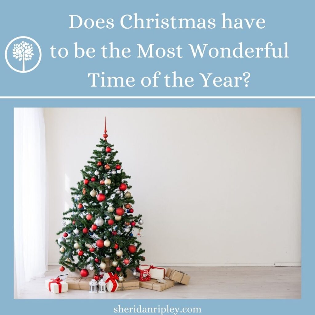 Does Christmas have to be the Most Wonderful Time of the Year? – Episode 3:6