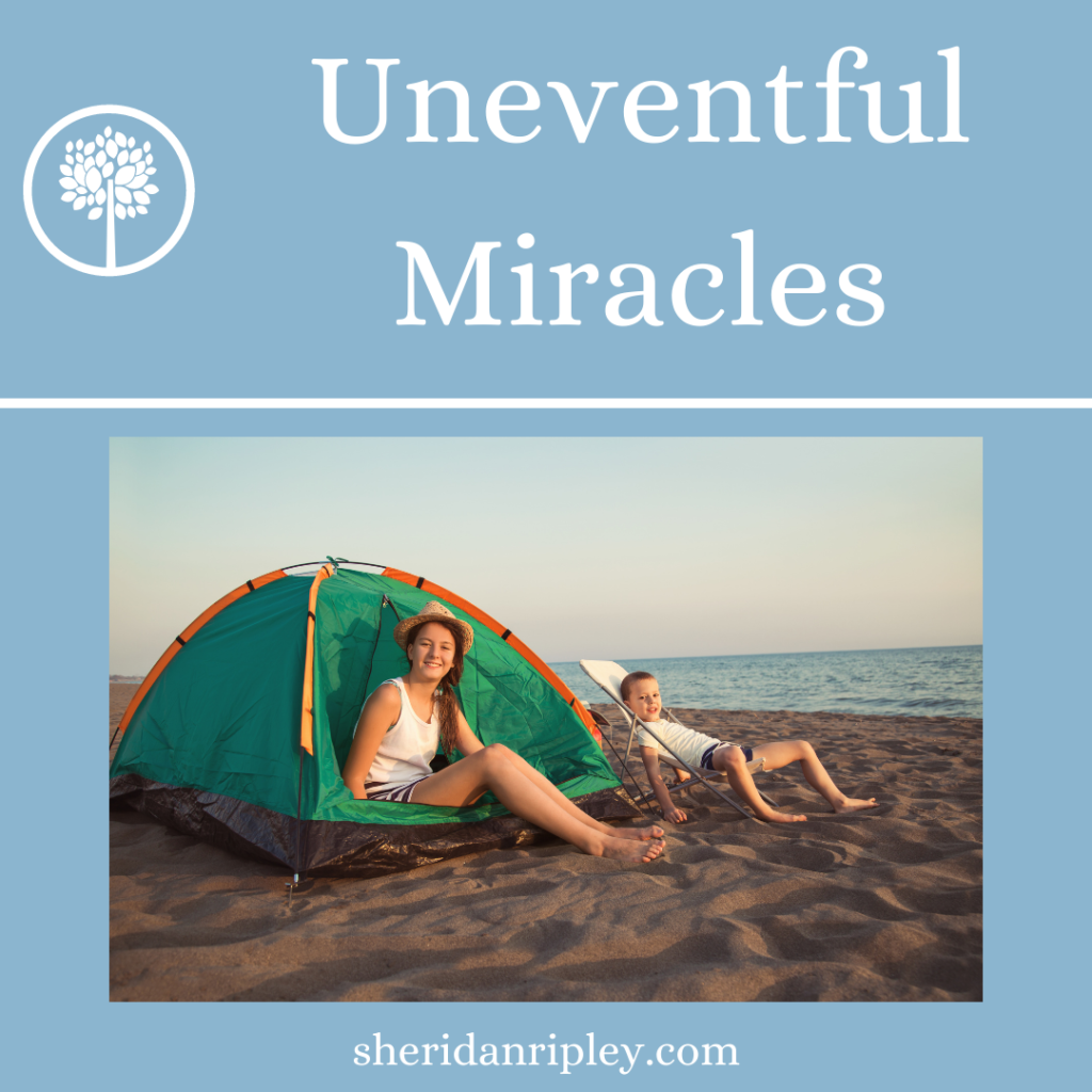 Uneventful Miracles – All the Amazing Things Angels Do and We Don’t Notice!