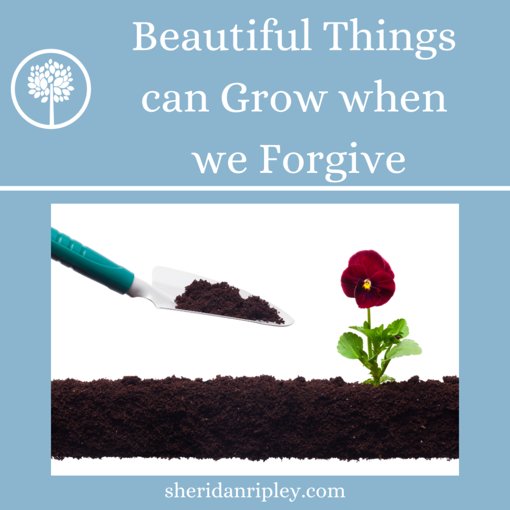 Beautiful things can grow, when we ask Jesus for help in forgiving.