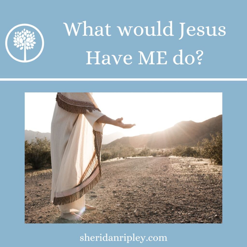 What would Jesus HAVE ME do?